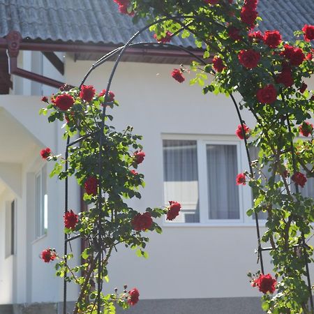 Casa Maria Guest House Prundul Birgaului Exterior foto